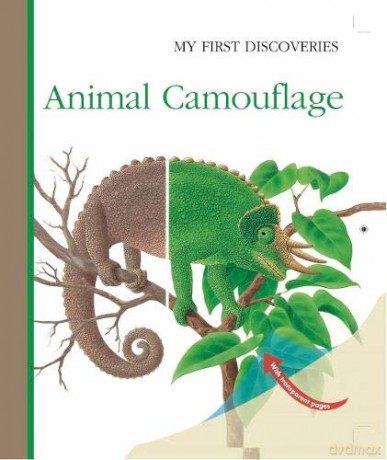 Animal Camouflage (My First Discoveries): 43 - René Mettler [KSIĄŻKA]