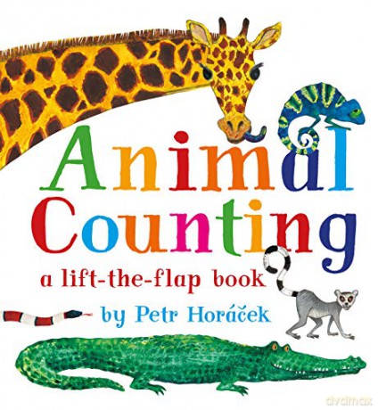 Animal Counting: 1 - Petr Horacek [KSIĄŻKA]