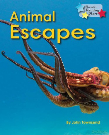 Animal Escapes (Reading Stars) - John Townsend [KSIĄŻKA]