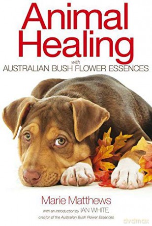 Animal Healing With Australian Bush Flower Essences: - Marie Matthews [KSIĄŻKA]