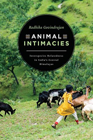 Animal Intimacies: Interspecies Relatedness in India's Central Himalayas (Animal Lives) - Radhika Govindrajan [KSIĄŻKA]