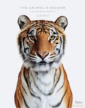 Animal Kingdom: A Collection on Portraits - R. Ford [KSIĄŻKA]