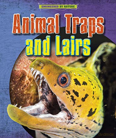 Animal Traps and Lairs (Engineered by Nature) - Louise Spilsbury [KSIĄŻKA]
