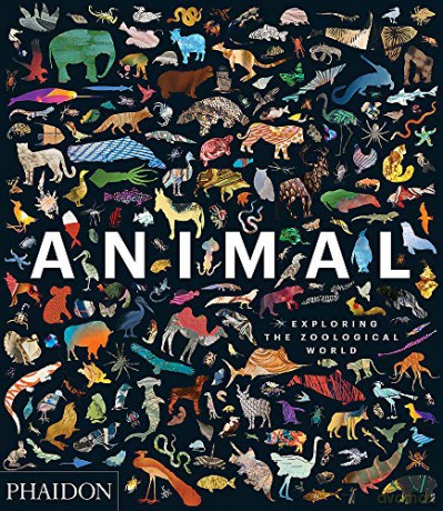 Animal: Exploring the Zoological World - Phaidon Editors [KSIĄŻKA]