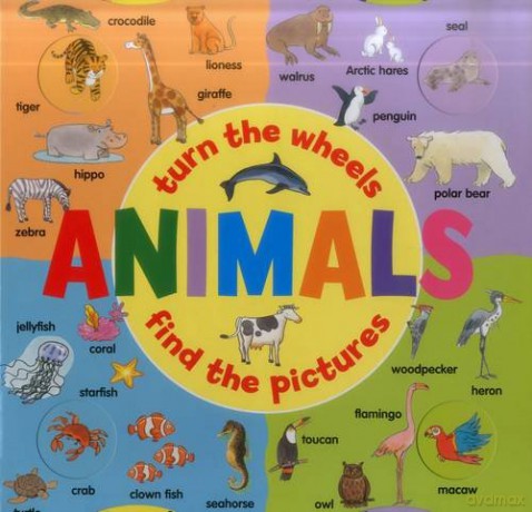 Animals (A Wheel Book): Turn the Wheels - Find the Pictures - Jan Lewis [KSIĄŻKA]