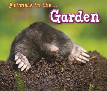 Animals in the Garden (Animals I Can See) - Sian Smith [KSIĄŻKA]