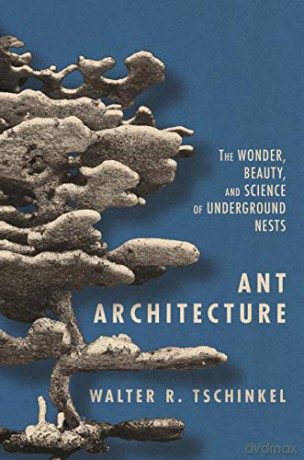 Ant Architecture: The Wonder, Beauty, and Science of Underground Nests [KSIĄŻKA]