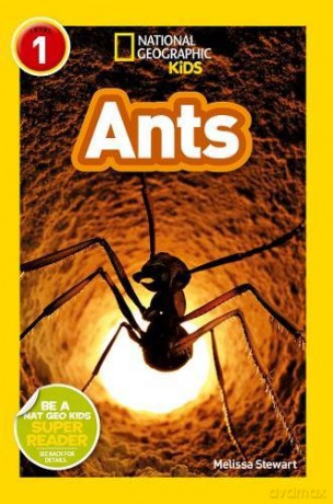 Ants (National Geographic Readers) (National Geographic Kids Readers: Level 1) - Melissa Stewart [KSIĄŻKA]