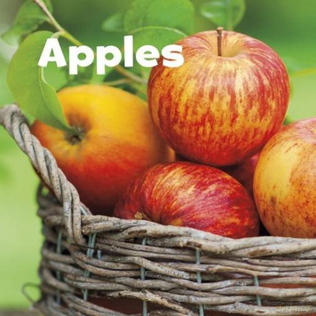 Apples (Little Pebble: Celebrate Autumn) - Erika L. Shores [KSIĄŻKA]