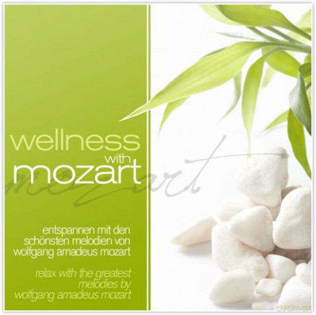 Wellness With Mozart [2CD]