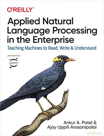 Applied Natural Language Processing in the Enterprise: Teaching Machines to Read, Write, and Understand - Ankur Patel [KSIĄŻKA]