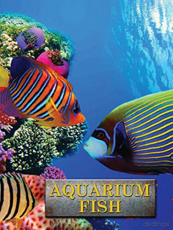 Aquarium Fish (Pet Library) - Andrew Cleave [KSIĄŻKA]