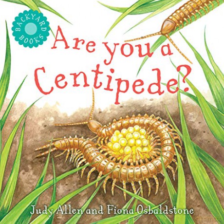 Are You a Centipede (Backyard Books) - Judy Allen [KSIĄŻKA]