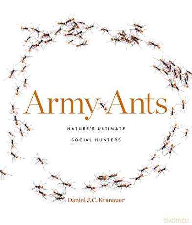 Army Ants: Natures Ultimate Social Hunters - Daniel J. C. Kronauer [KSIĄŻKA]