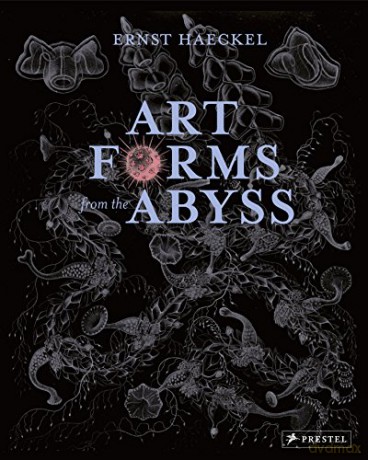 Art Forms from the Abyss: Ernst Haeckel's Images from the HMS Challenger Expedition - Peter J. le B. Williams [KSIĄŻKA]