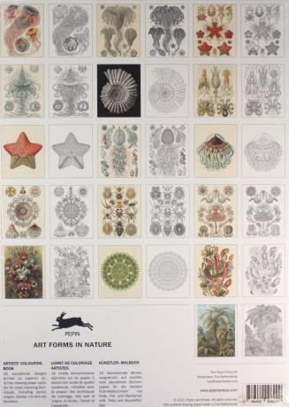 Art Forms in Nature: Artists' Colouring Book - Pepin Van Roojen [KSIĄŻKA]