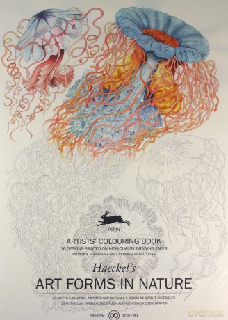 Art Forms in Nature: Artists' Colouring Book - Pepin Van Roojen [KSIĄŻKA]