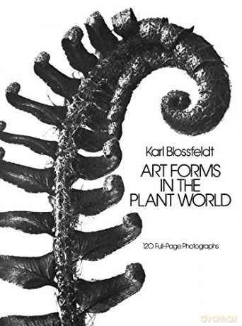 Art Forms in the Plant World (Dover Pictorial Archive) - Karl Blossfeldt [KSIĄŻKA]