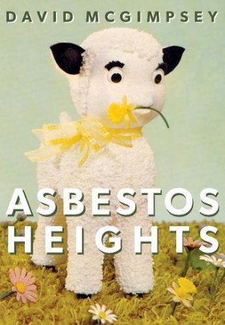 Asbestos Heights - David McGimpsey [KSIĄŻKA]