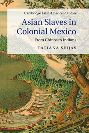 Asian Slaves in Colonial Mexico: From Chinos to Indians: 100 (Cambridge Latin American Studies, Series Number 100) - Tatiana Seijas [KSIĄŻKA]