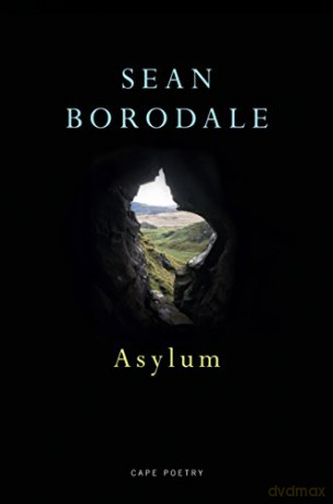 Asylum - Sean Borodale [KSIĄŻKA]