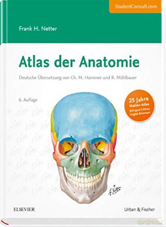 Atlas der Anatomie: Deutsche Übersetzung von Christian M. Hammer - Mit StudentConsult-Zugang, 6e - Frank H. Netter [KSIĄŻKA]