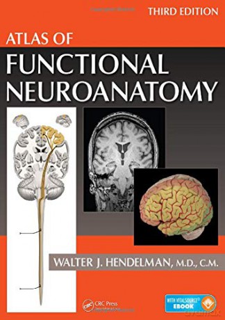 Atlas of Functional Neuroanatomy - Walter Hendelman M.D. [KSIĄŻKA]