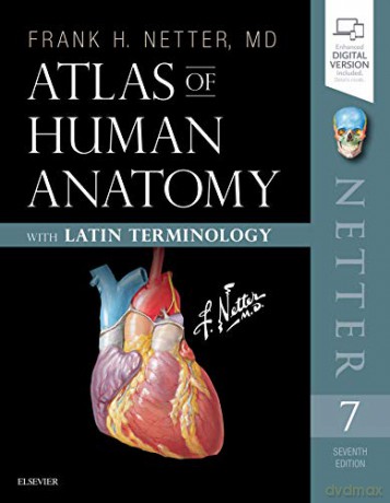 Atlas of Human Anatomy: Latin Terminology: English and Latin Edition, 7e (Netter Basic Science) - Frank H. Netter MD [KSIĄŻKA]
