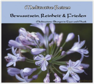 Meditative Reisen-Bewusstsein, [CD]