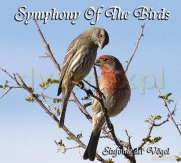 Symphony Of The Birds [CD]