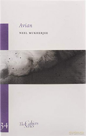 Avian - Neel Mukherjee [KSIĄŻKA]