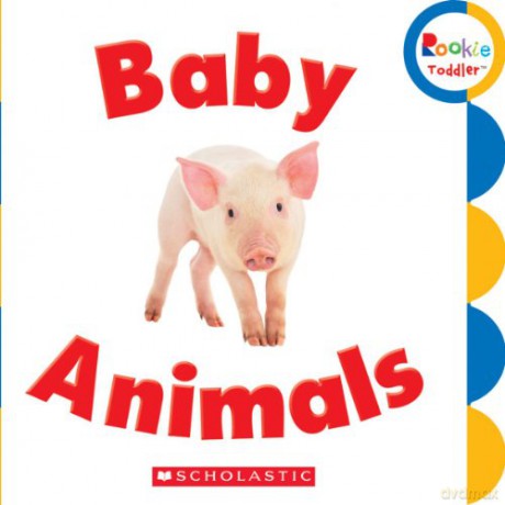 Baby Animals (Rookie Toddler) [KSIĄŻKA]