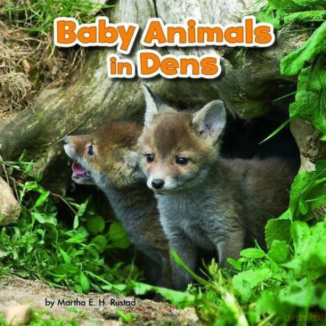 Baby Animals and Their Homes: Baby Animals in Dens - Martha E. H. Rustad [KSIĄŻKA]