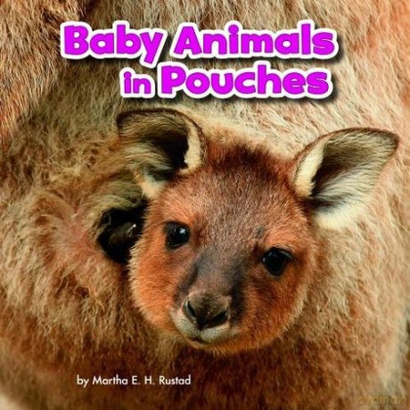 Baby Animals and Their Homes: Baby Animals in Pouches - Martha E. H. Rustad [KSIĄŻKA]