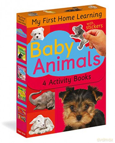 Baby Animals: Baby Pets; Farm Babies; Forest Babies; Wild Animals (My First Home Learning) - Tiger Tales [KSIĄŻKA]