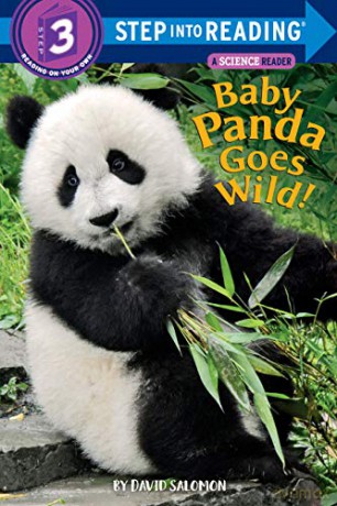 Baby Panda Goes Wild! (Step Into Reading) - David Salomon [KSIĄŻKA]