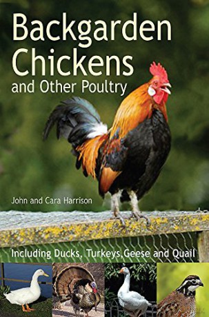 Backgarden Chickens and Other Poultry - John Harrison [KSIĄŻKA]