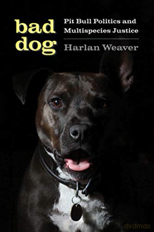 Bad Dog: Pit Bull Politics and Multispecies Justice (Feminist Technosciences) - Rebecca Herzig [KSIĄŻKA]