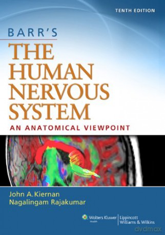 Barr's The Human Nervous System: An Anatomical Viewpoint - John A. Kiernan [KSIĄŻKA]