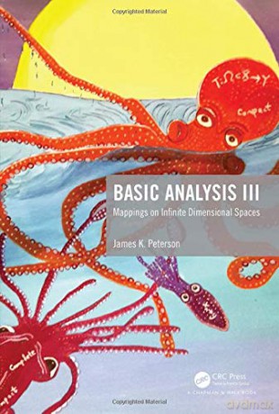 Basic Analysis III: Mappings on Infinite Dimensional Spaces - James K. Peterson [KSIĄŻKA]