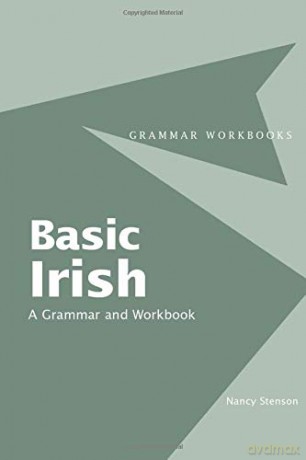 Basic Irish: A Grammar and Workbook (Routledge Grammar Workbooks) - Nancy Stenson [KSIĄŻKA]