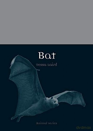 Bat (Animal) - Tessa Laird [KSIĄŻKA]