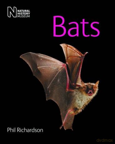 Bats - Phil Richardson [KSIĄŻKA]