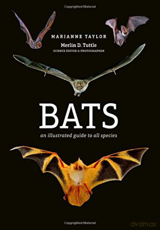 Bats: An illustrated guide to all species - Marianne Taylor [KSIĄŻKA]