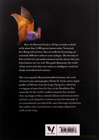 Bats: An illustrated guide to all species - Marianne Taylor [KSIĄŻKA]