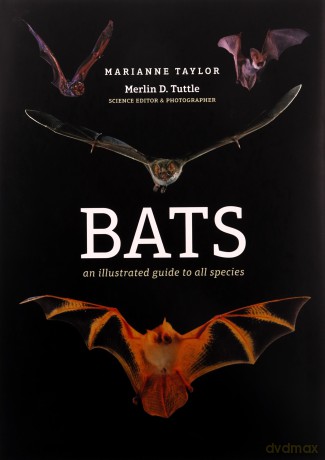 Bats: An illustrated guide to all species - Marianne Taylor [KSIĄŻKA]