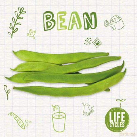 Bean (Life Cycles) - Kirsty Holmes [KSIĄŻKA]