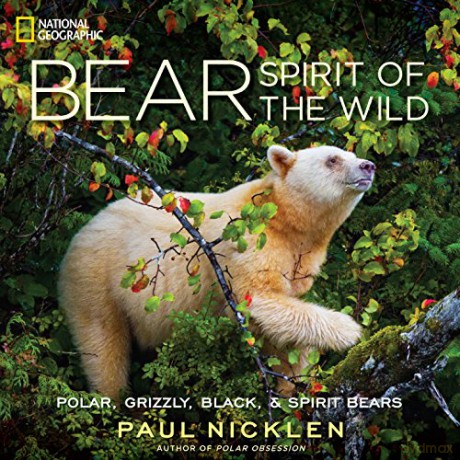 Bear: Spirit of the Wild - Paul Nicklen [KSIĄŻKA]