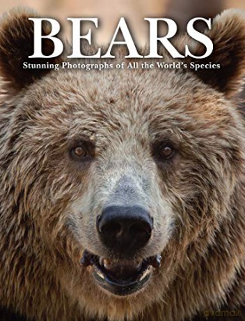 Bears: Stunning Photographs of All the World's Species (Animals) - Tom Jackson [KSIĄŻKA]