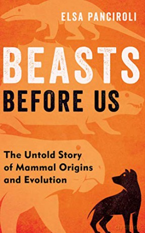 Beasts Before Us: The Untold Story of Mammal Origins and Evolution - Elsa Panciroli [KSIĄŻKA]